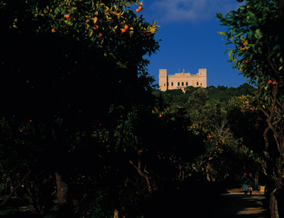 Buskett Gardens - Historic woodland gardens near Rabat Malta